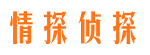 衢江侦探公司